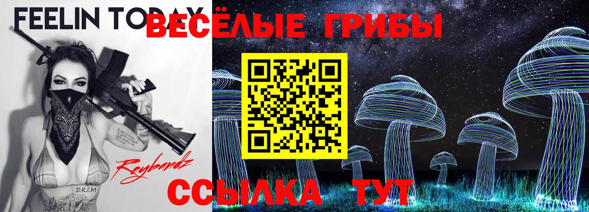 Галлюциногенные грибы Psilocybine cubensis Уварово