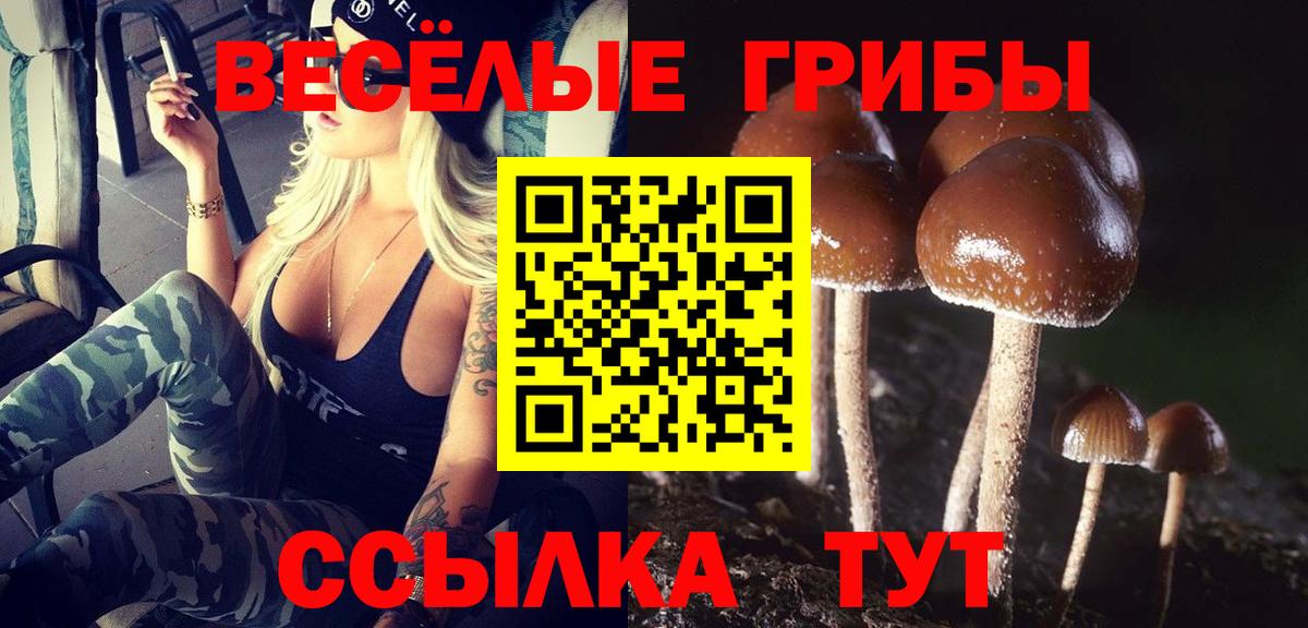 где можно купить наркотик  Вход с VPN  Уварово  Галлюциногенные грибы GOLDEN TEACHER 